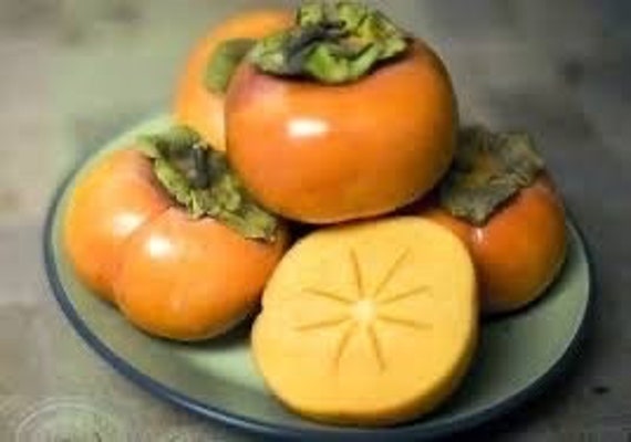 Dwarf ICHI KIKEI JIRO Persimmon